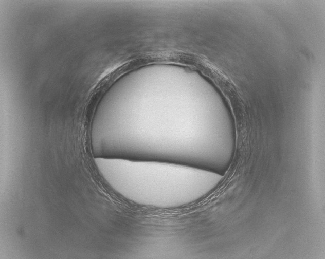X0000116761206200912171103