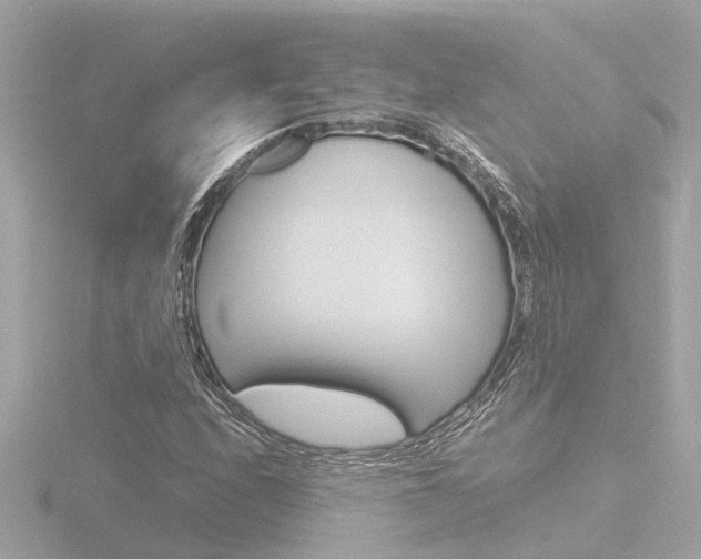 X0000116761208200912171103