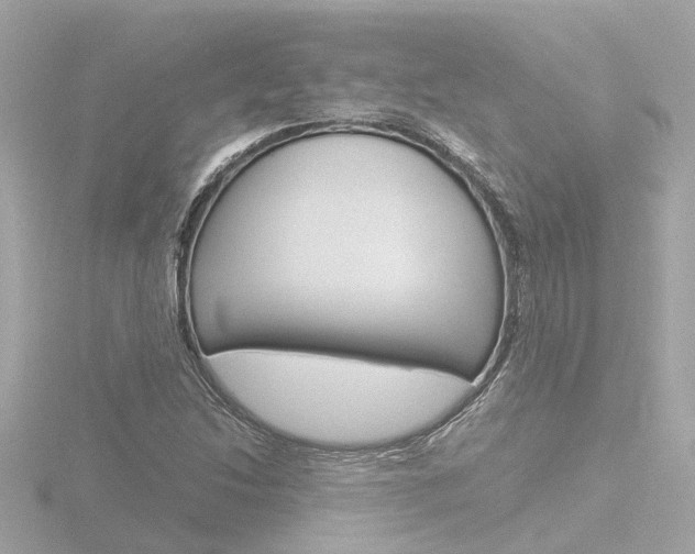 X0000116761214200912171103