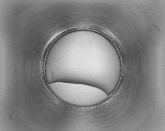 X0000116761216200912171103