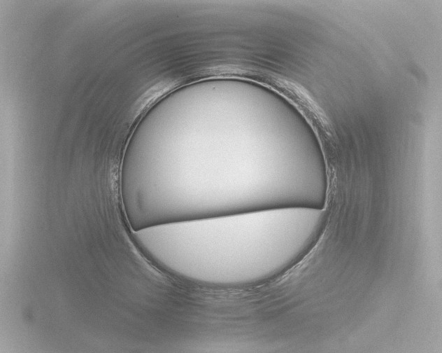 X0000116761225200912171103