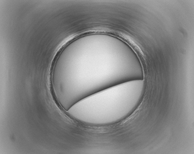 X0000116761229200912171103