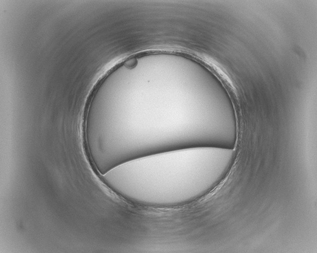 X0000116761237200912171103