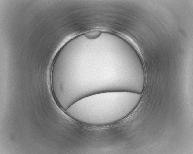 X0000116761243200912171103