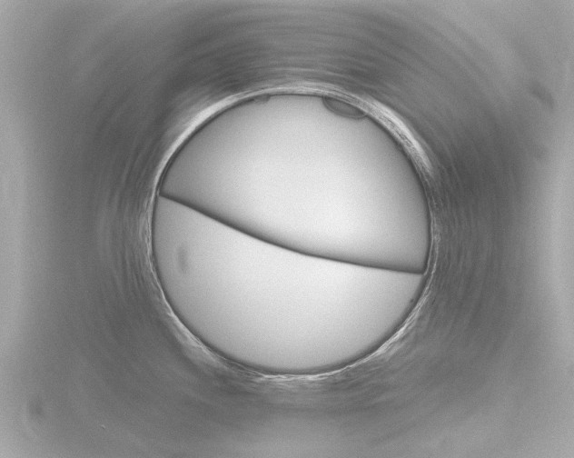 X0000116761244200912171103