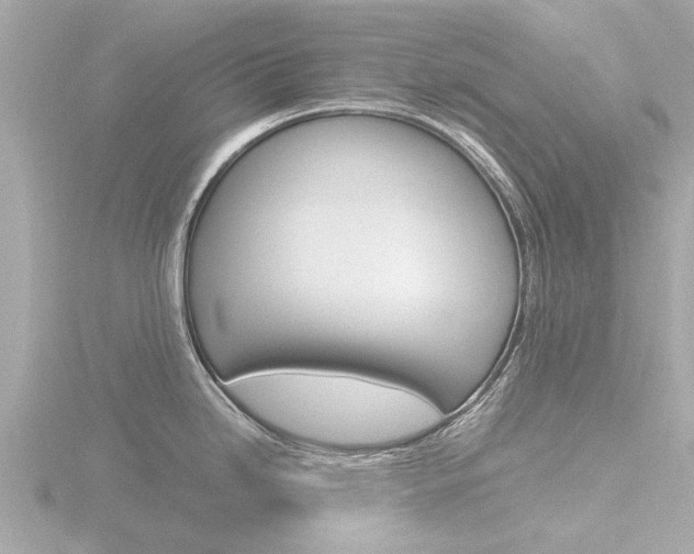 X0000116761246200912171103