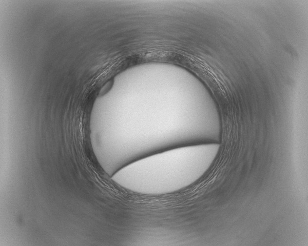 X0000116761250200912171103