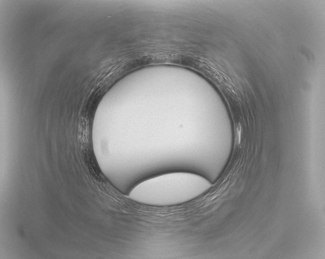 X0000116761251200912171103