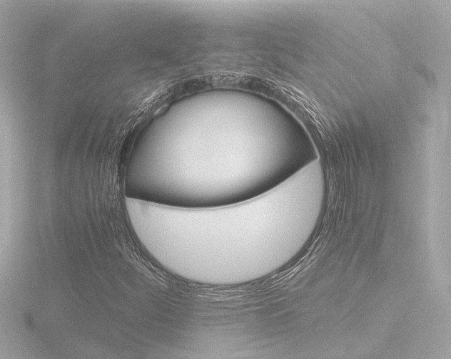 X0000116761252200912171103