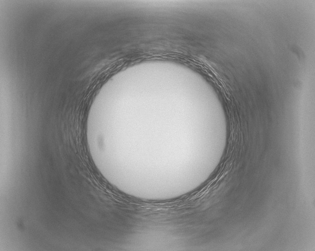 X0000116761253200912171103