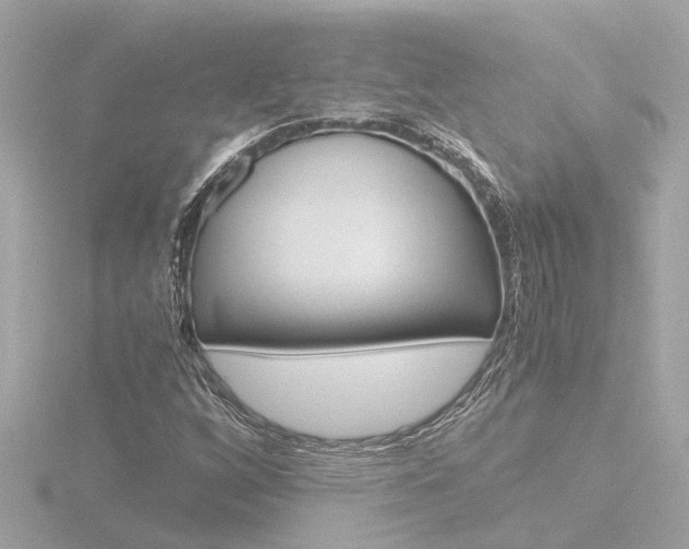 X0000116761256200912171103