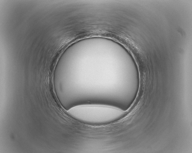 X0000116761257200912171103