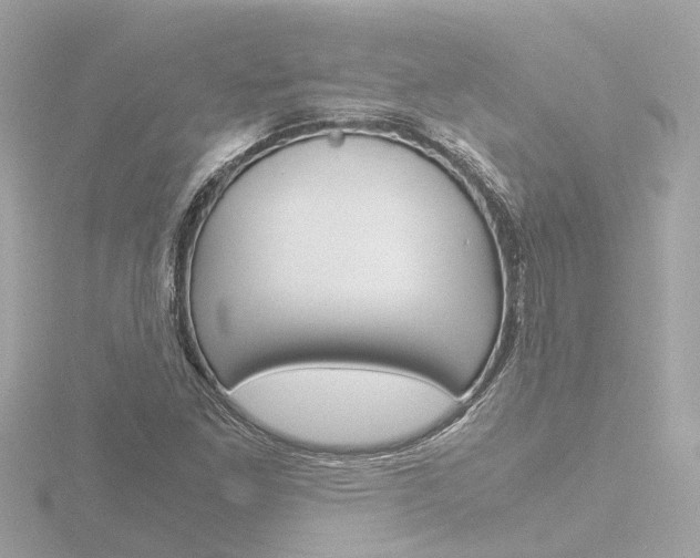 X0000116761261200912171102