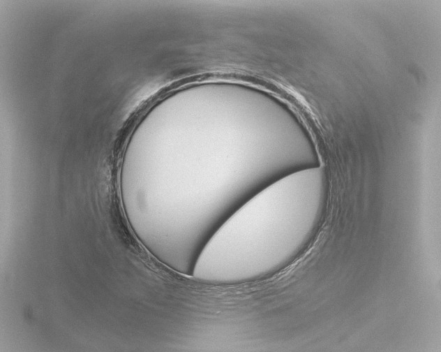 X0000116761263200912171102
