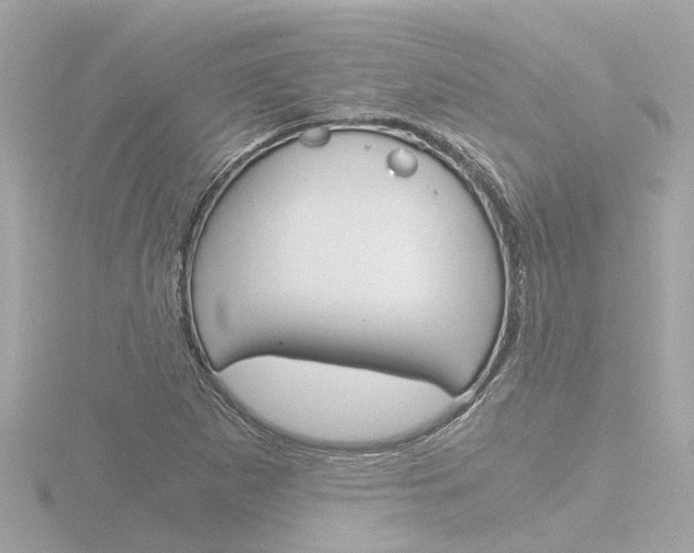 X0000116761265200912171102