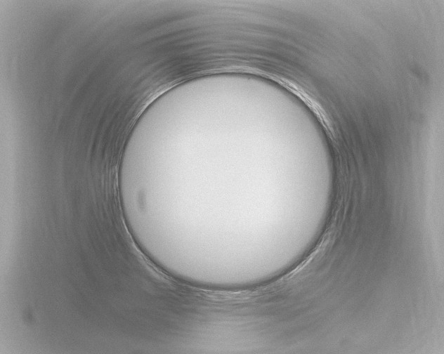 X0000116761281200912171102