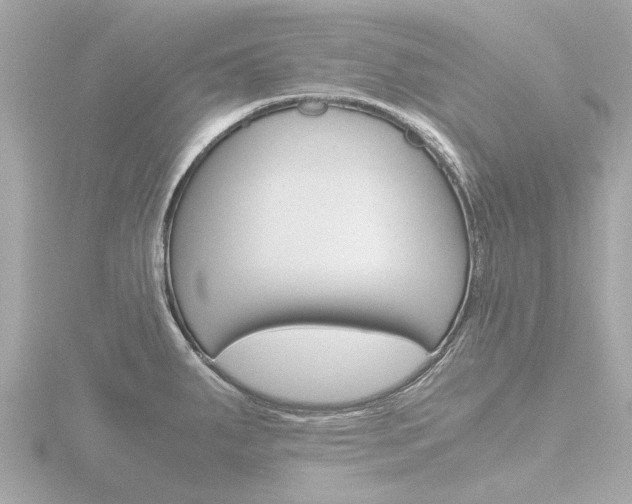 X0000116761287200912171102