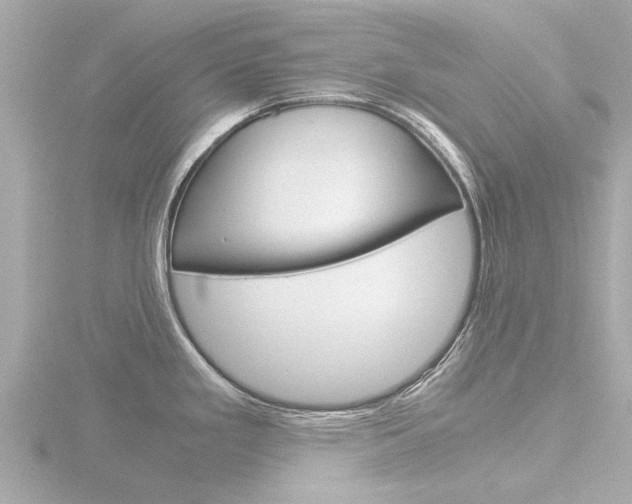 X0000116761293200912171102