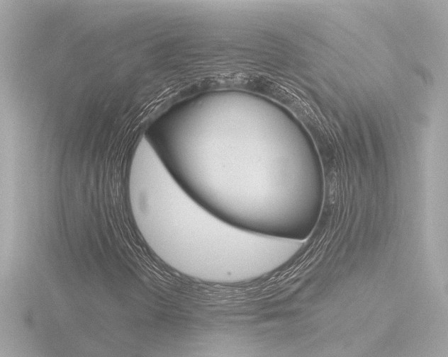 X0000116761298200912171101