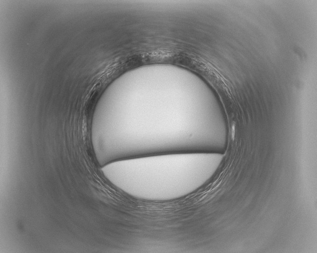 X0000116761299200912171101