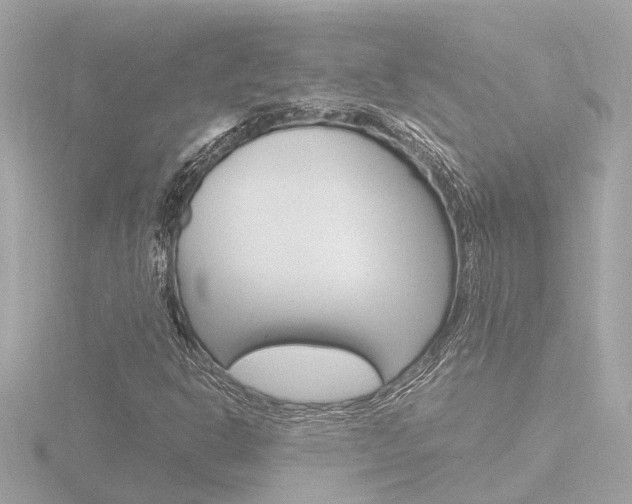 X0000116761302200912171101