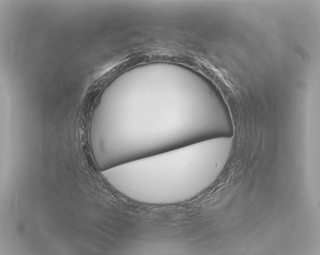 X0000116761303200912171101