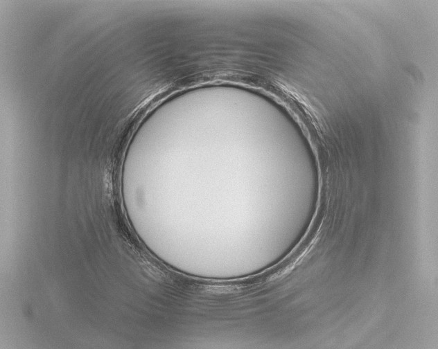X0000116761305200912171101
