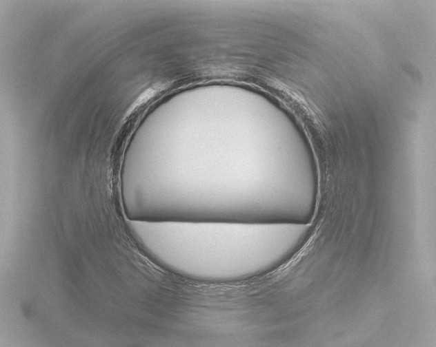 X0000116761306200912171101