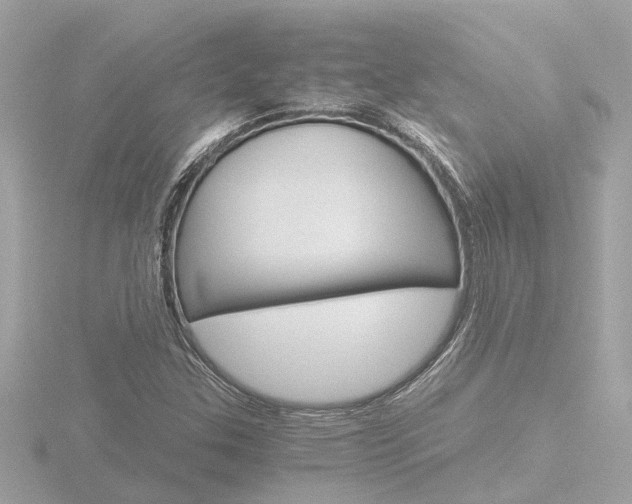 X0000116761307200912171101