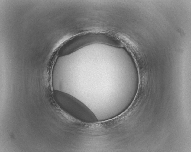 X0000116761310200912171102