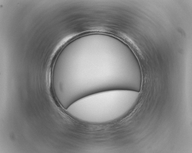 X0000116761323200912171102