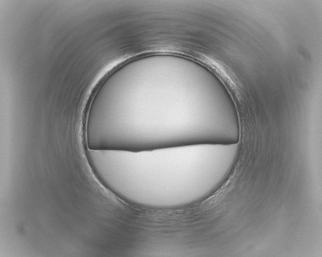 X0000116761331200912171102
