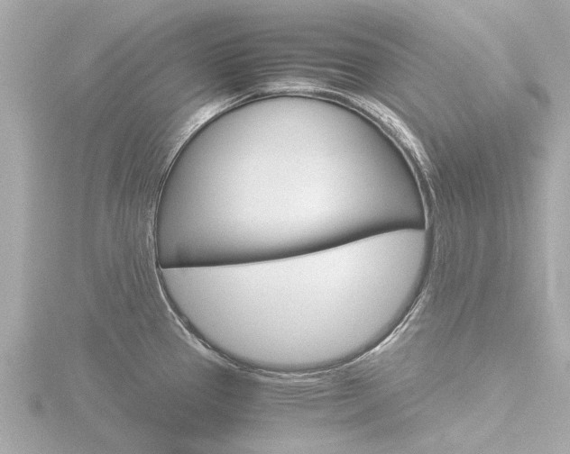 X0000116761337200912171102