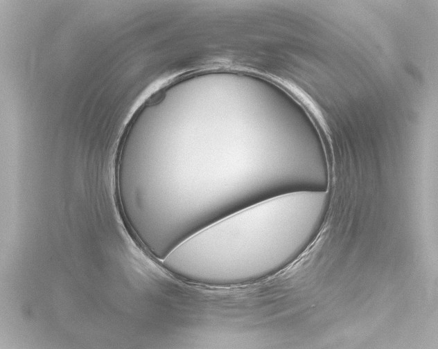 X0000116761341200912171102