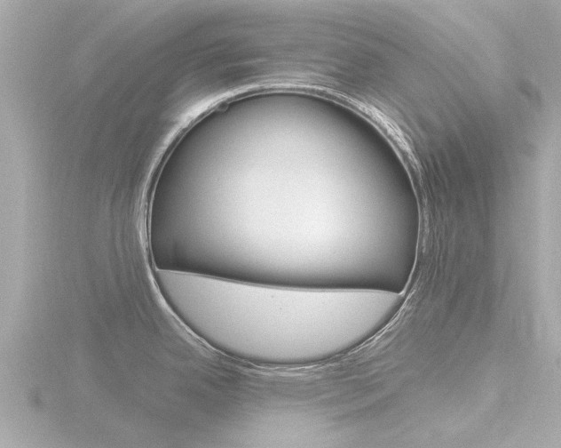X0000116761342200912171102