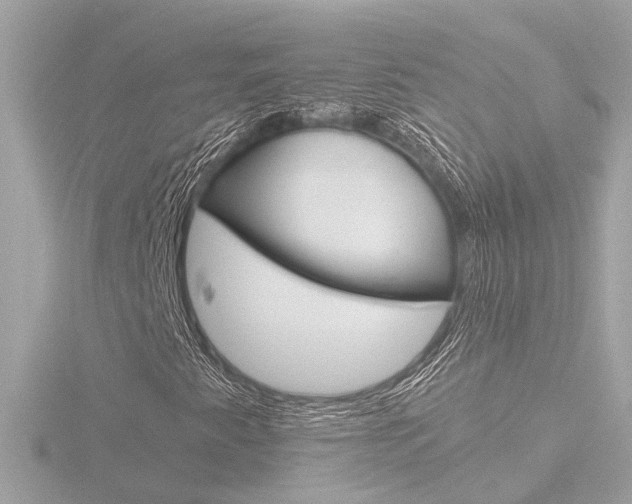 X0000116761345200912171101