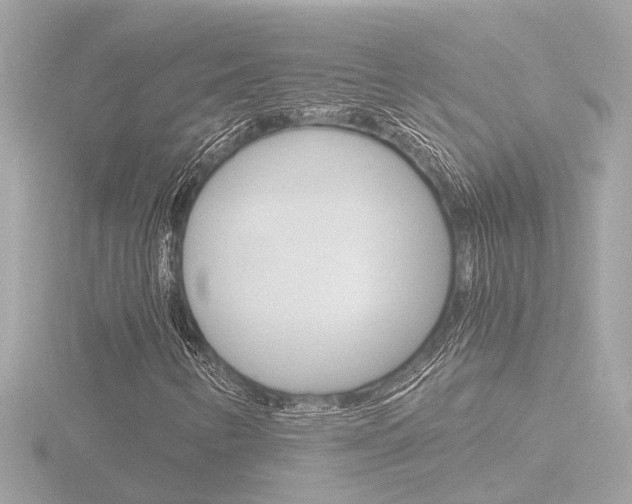 X0000116761346200912171101