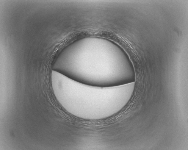 X0000116761349200912171101