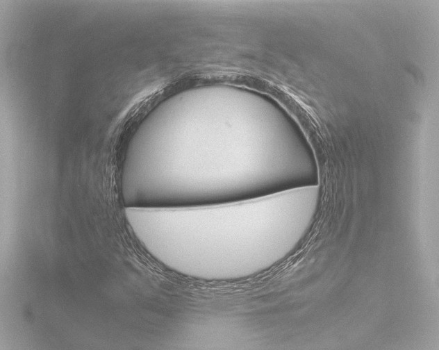 X0000116761351200912171101