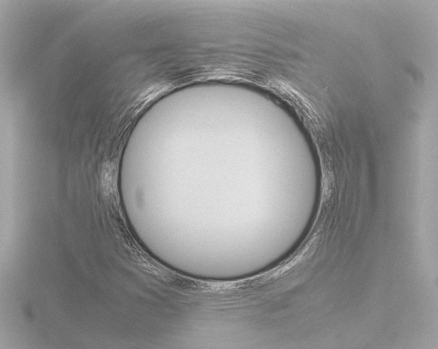 X0000116761353200912171101