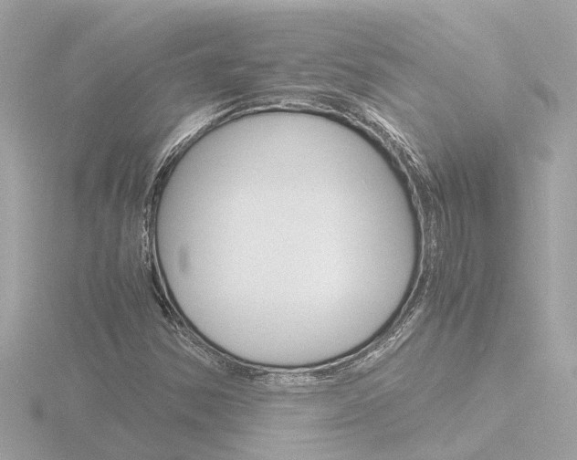 X0000116761354200912171101