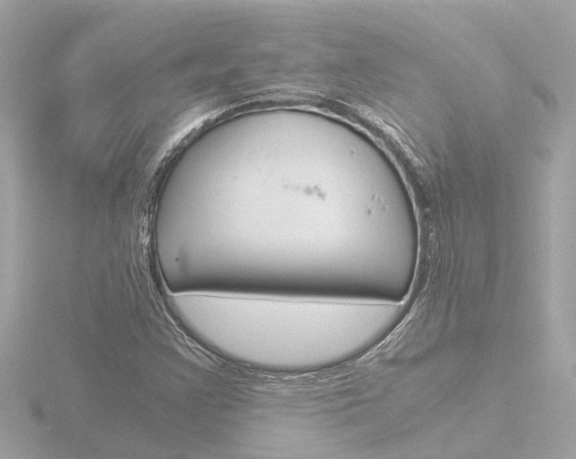 X0000116761355200912171101