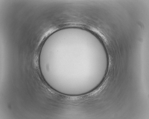 X0000116761357200912171101
