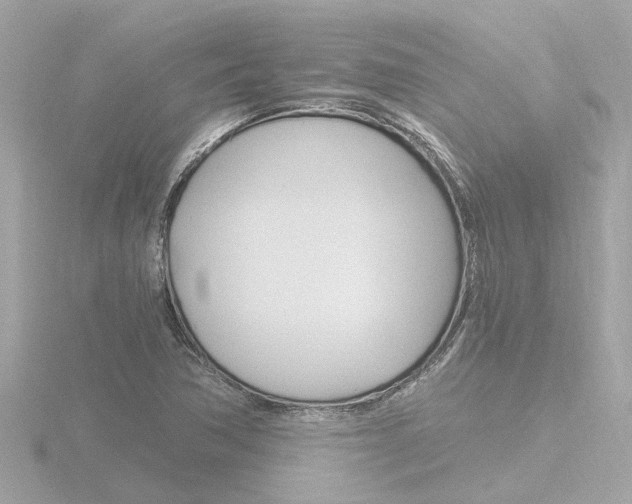 X0000116761362200912171101