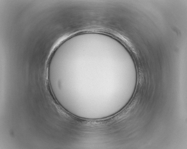 X0000116761366200912171101