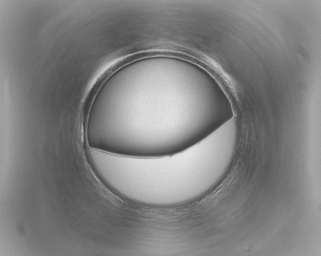 X0000116761368200912171101