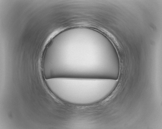 X0000116761373200912171101