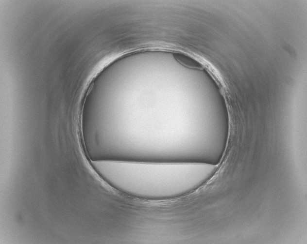 X0000116761381200912171101