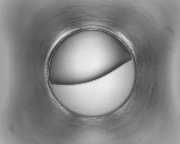 X0000116761384200912171101