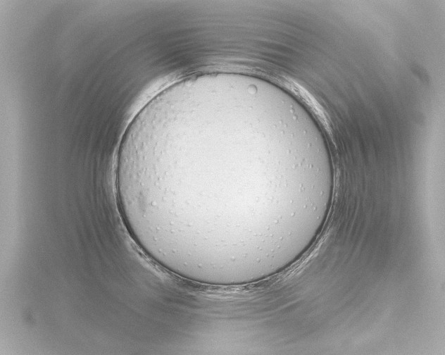 X0000116761386200912171101
